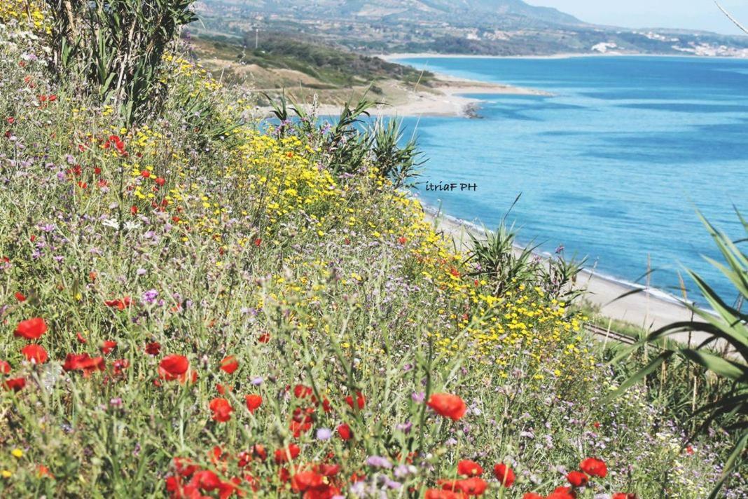Climatizzato In Centro A 100M Dal Mare Villa Cirò Marina Екстериор снимка